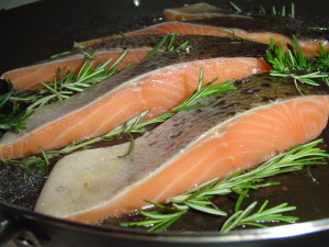 Salmon