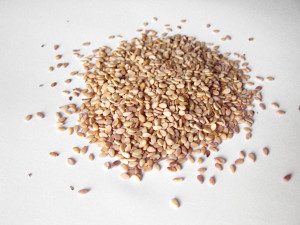 sesame seeds