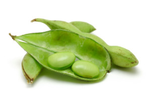 Close up of edamame