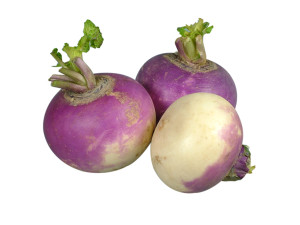 turnip