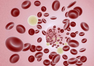 blood cells