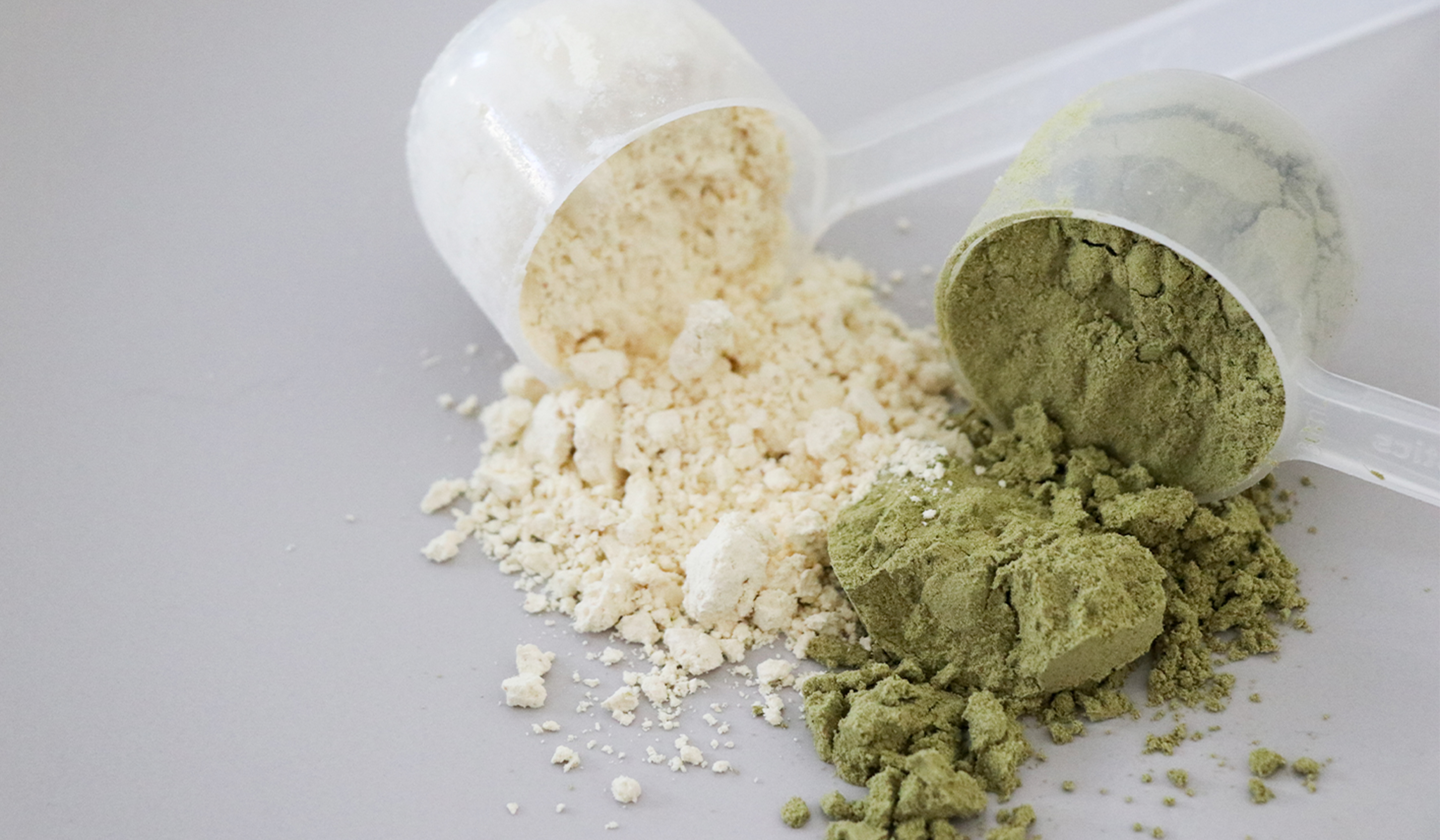 protein powders