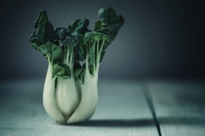 bok choy